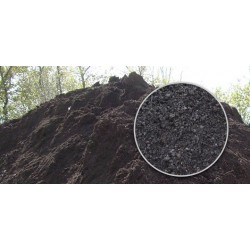 TOPSOIL, Black Dirt