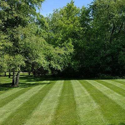 experlawn2